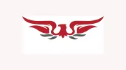Patriot Towing Services